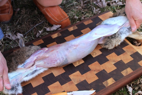 Man seeing the rabbit meat. 