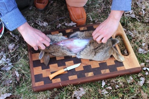Man tearing the rabbit skin with both hands. 