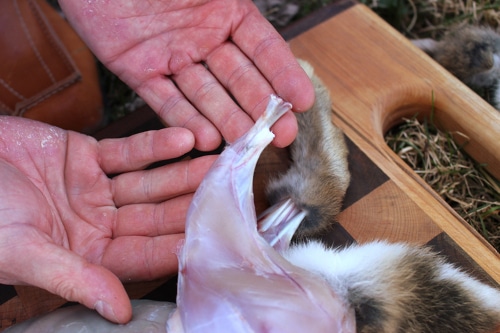 A skin of rabit's feet. 