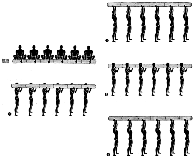 log 12 push up 1